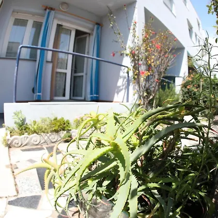 Apartmán L'ibisco Di Fiorella