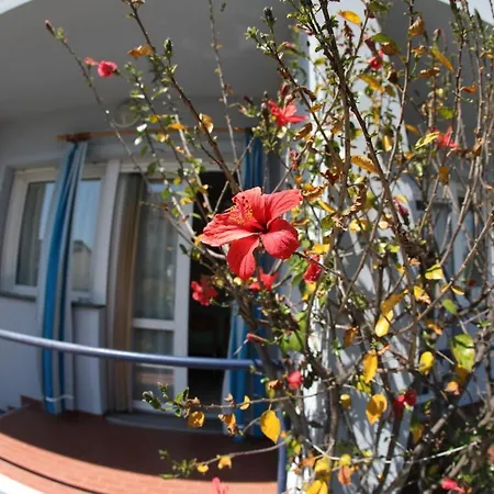 Apartmán L'ibisco Di Fiorella